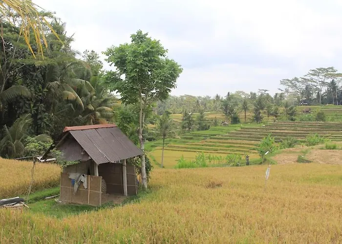 Villa Jungle Villa! Breath-taking Views & Near Ubud! *